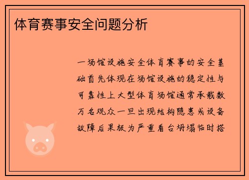 体育赛事安全问题分析